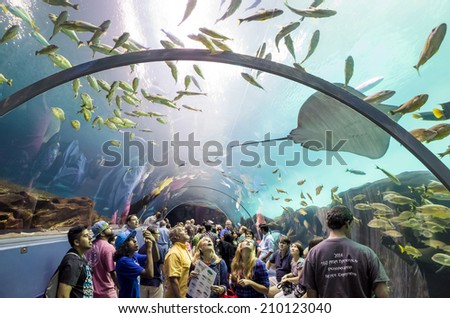 ATLANTA, GEORGIA - August 2:Interior of Georgia Aquarium with the people, the world\'s largest aquarium holding more than 8 million gallons of water in Atlanta, Georgia on August 2, 2014
