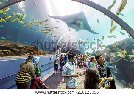 ATLANTA, GEORGIA - August 2:Interior of Georgia Aquarium with the people, the world\'s largest aquarium holding more than 8 million gallons of water in Atlanta, Georgia on August 2, 2014