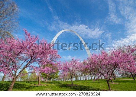 St. Louis Gateway Arch in Missouri with pink flower and blue sky