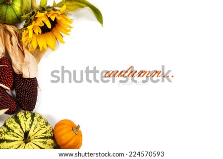 Autumn frame over white. Thanksgiving day, harvesting  or autumn concept (with easy removable sample text)