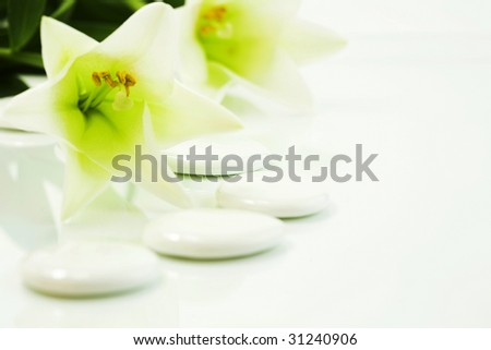 madonna lily and spa stones on white  (SPA concept)
