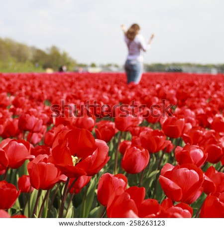 NOORWIJKERHOUT, NETHERLANDS - APRIL 20, 2014: Woman standing in a field of red tulips on a visit to the flower fileds in the Netherlands. Thousands of tourists are attracted to the area every year.