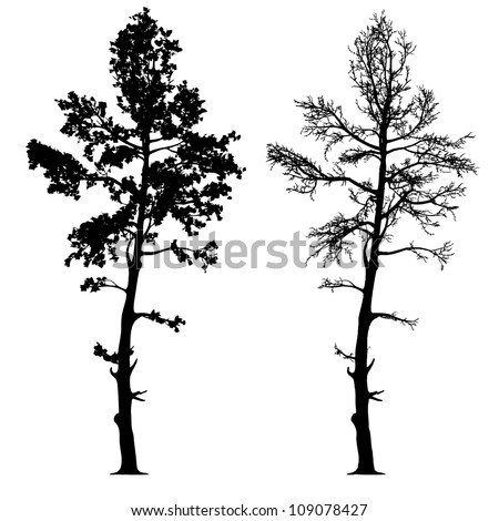 longleaf single men The process of paring away excessive details is one o'keeffe would nurture hosting the first us one-man exhibitions of henri matisse, paul. longleaf single men The process of paring away excessive details is one o'keeffe would nurture hosting the first us one-man exhibitions of henri matisse, paul.
