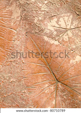 Leaf patterns on the wall.