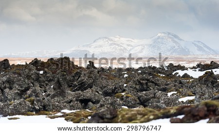 Moss covered lava field Kirkjubaeklaustur, Iceland