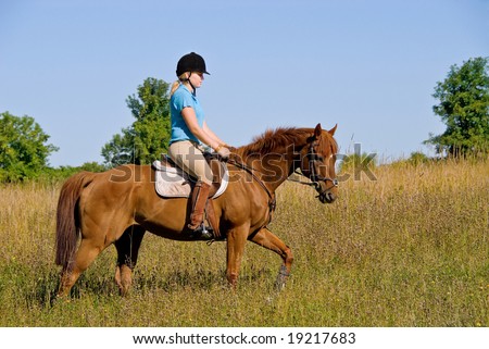 View topic - .:Blue Ridge Stables:. (Horse and Rider RP.ACCEPTING ...