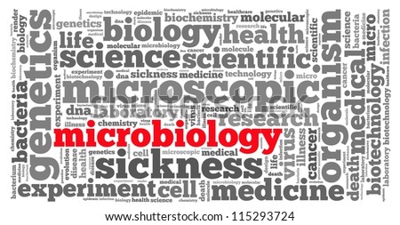 Microbiology Science Info-Text Graphics And Arrangement Concept On ...