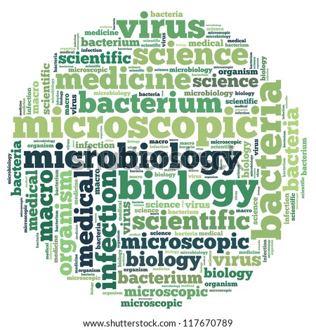 Bacteria Info-Text Graphics And Arrangement Concept On White Background ...