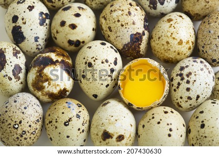 Colorful quail eggs and broken egg with two yolks.