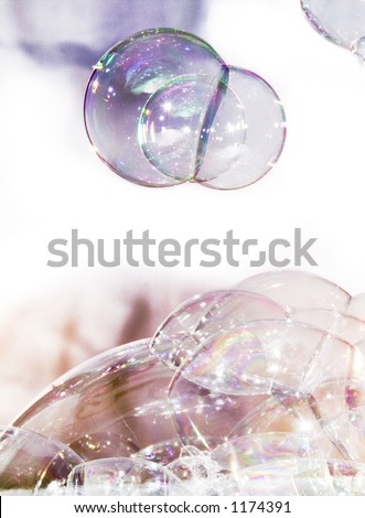 Bubbles White Background