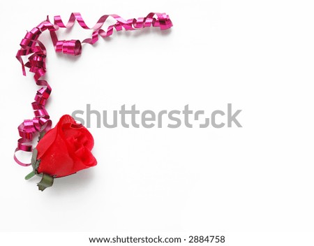 romantic ribbon border
