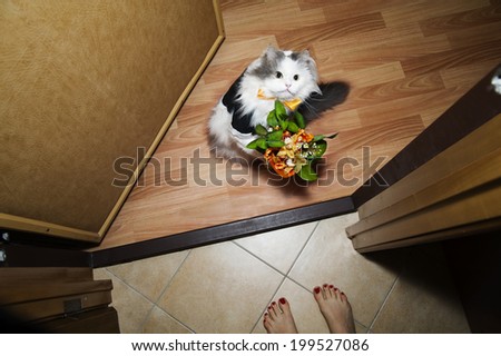 cat giving flowers to the hostess