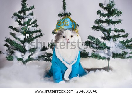 cat dressed as Snow Maiden in the fir forest