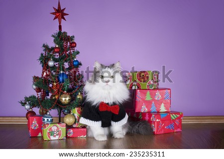 cat in a knitted sweater with gifts at Christmas tree