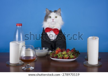 woman and her cat having dinner by candlelight