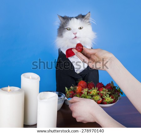 woman and her cat having dinner by candlelight