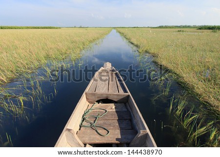 Head of traditional wooden long tailed boat. running through the wetland.
