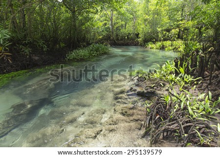 clean and clear stream in deep tropical forest, south of Thailand
