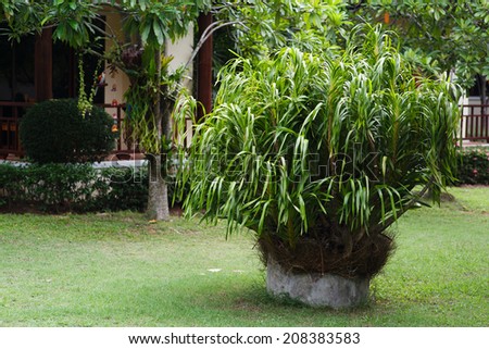 Lush Green, gardening, landscaping, park decoration and design