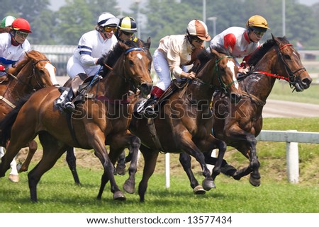 horses at race-course, up to the finish