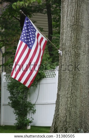 Flag hanging from a tree