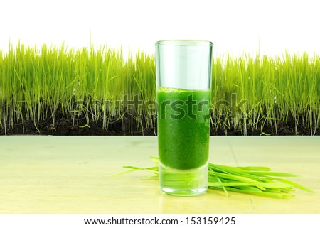 shot glass of wheat grass with fresh cut wheat grass