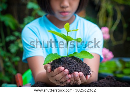 Little girl human hands holding little sprout with care
