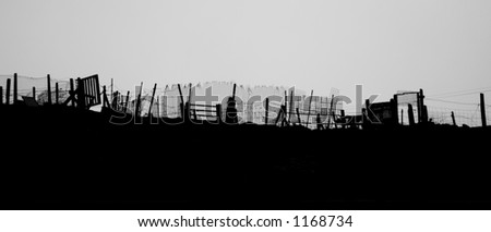 Silhouetted makeshift fences. Nice arrangement of abstract patterns and shapes.