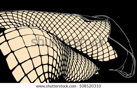 Fishnets 2 - The sexy legs of a woman in fishnet stockings