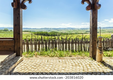 View to a vineyards from rustic vine house
