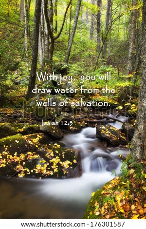 Scripture Photos Isaiah Stream in the Forest