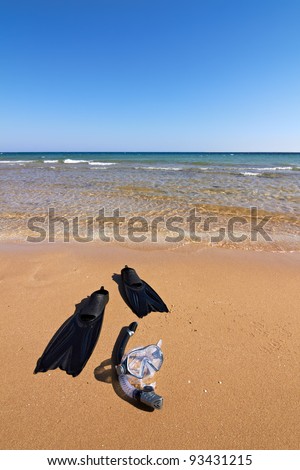 Flippers, mask and snorkel lying on wet sand, vertical orientation