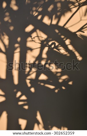 tree shadow on the brown concrete wall background
