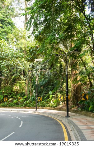 paved jungle road