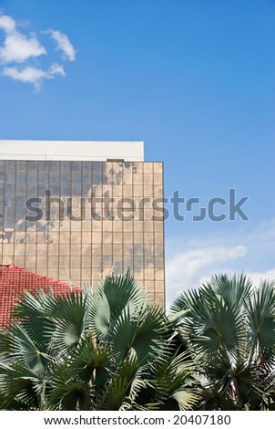 office building and palm trees