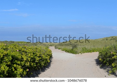 Similar – Image, Stock Photo Helgoland ahead!