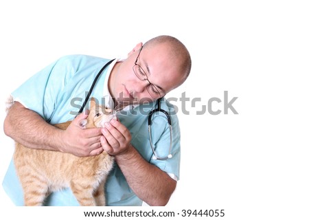 Veterinarian with orange cat - tooth's test