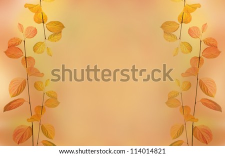 autumn branches and leaves border on orange background