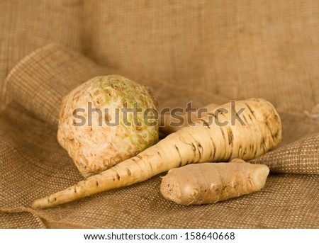 celery, parsley root and ginger on burlap background