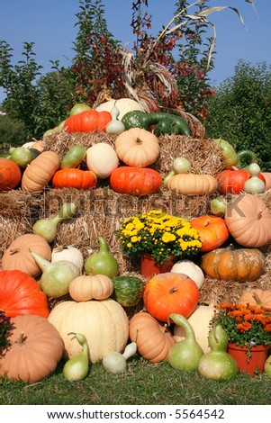 Beautiful arrangement for a fall theme, halloween or thanksgiving. Stack of hay with pumpkins, gourd, mums and corn