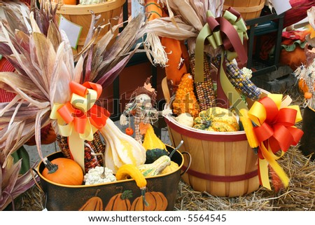 Halloween or Thanksgiving holiday arrangements, suitable for a fall theme