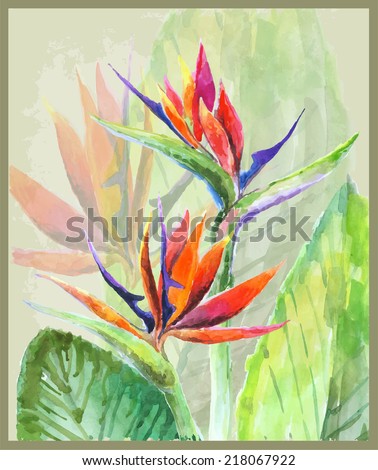 Greeting card with Bird of Paradise flowers. Illustration tropical flower Bird of Paradise.