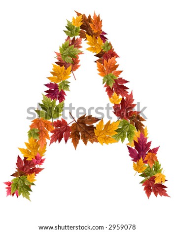 The Letter A Made From Autumn Maple Tree Leaves. Stock Photo 2959078 ...