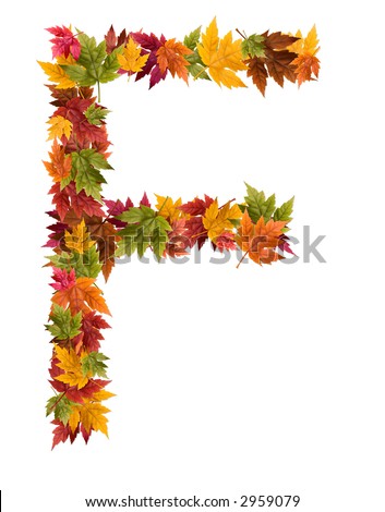 The Letter F Made From Autumn Maple Tree Leaves. Stock Photo 2959079 ...