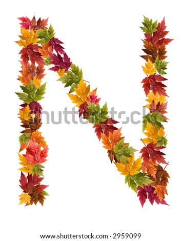 The Letter N Made From Autumn Maple Tree Leaves. Stock Photo 2959099 ...