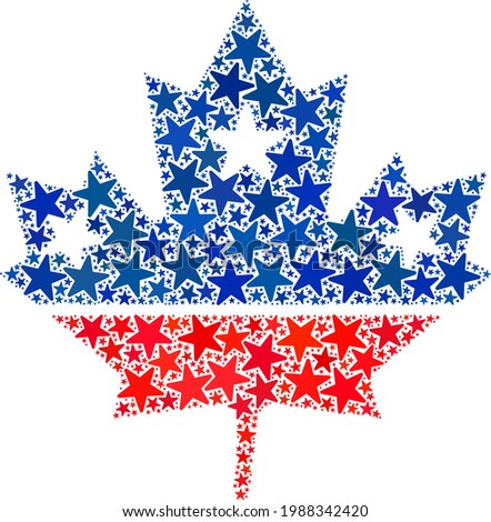 Maple leaf collage of stars in variable sizes and color tinges. Maple leaf illustration uses American official blue and red colors of Democratic and Republican political parties, and star parts.