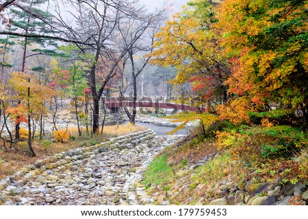 River with white stone river bed at Seoraksan national park during autumn season.
