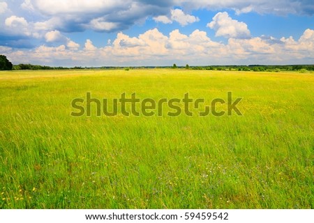 Green, flowery meadow and cumulus clouds above.