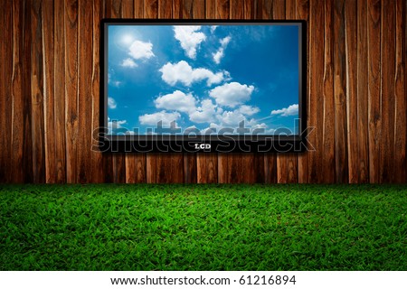 Interior with a television set on green grass against wooden wall