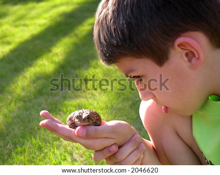 a young boy examining a toad on a summer day
